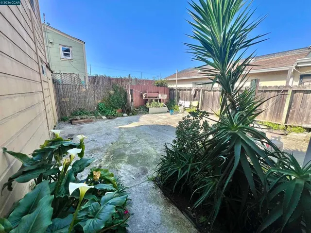 a plant in front of a house