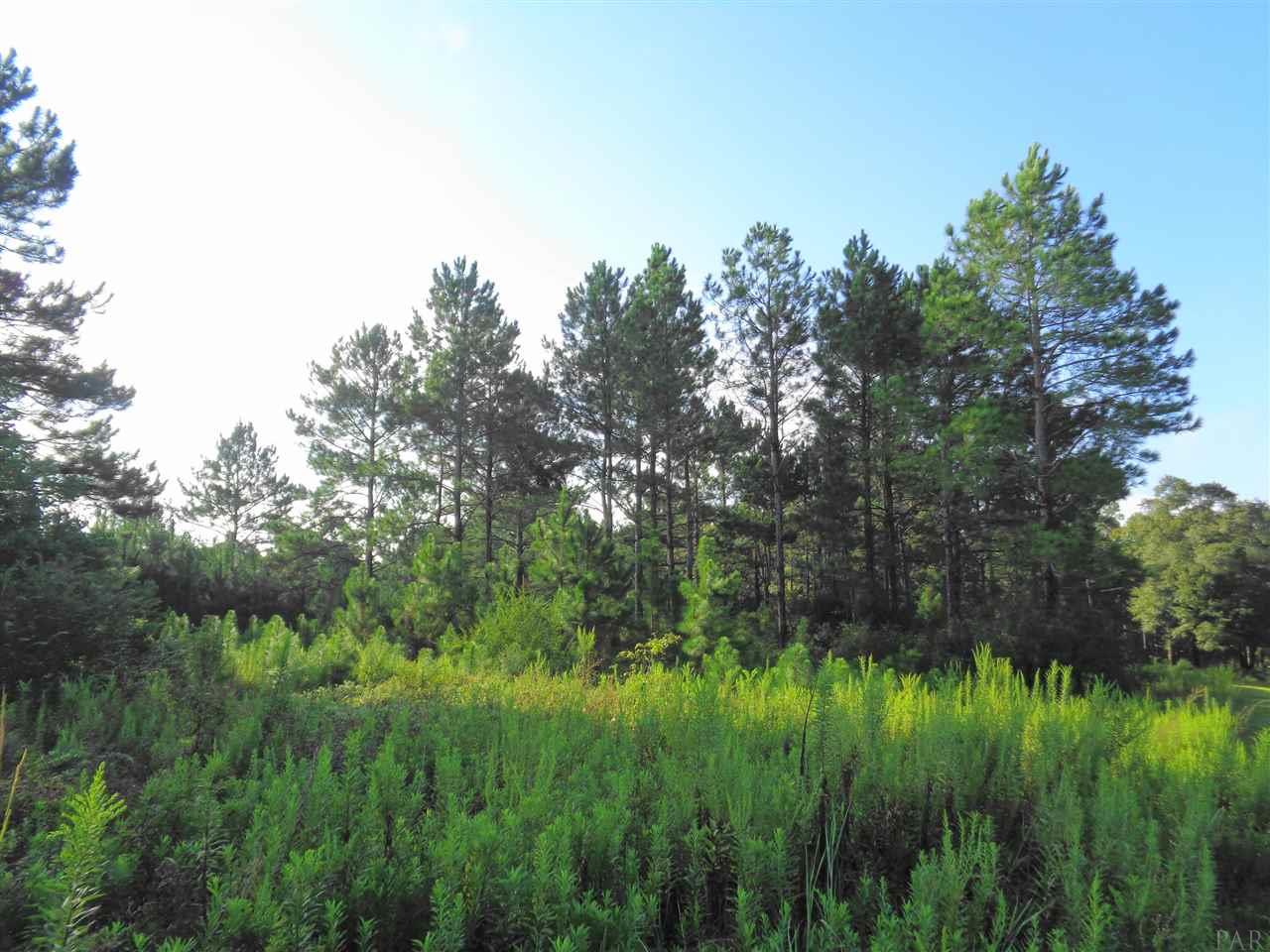 0 Cowpen Creek Road, Unit 9 Atmore, AL 36502 - Photo 1 of 6
