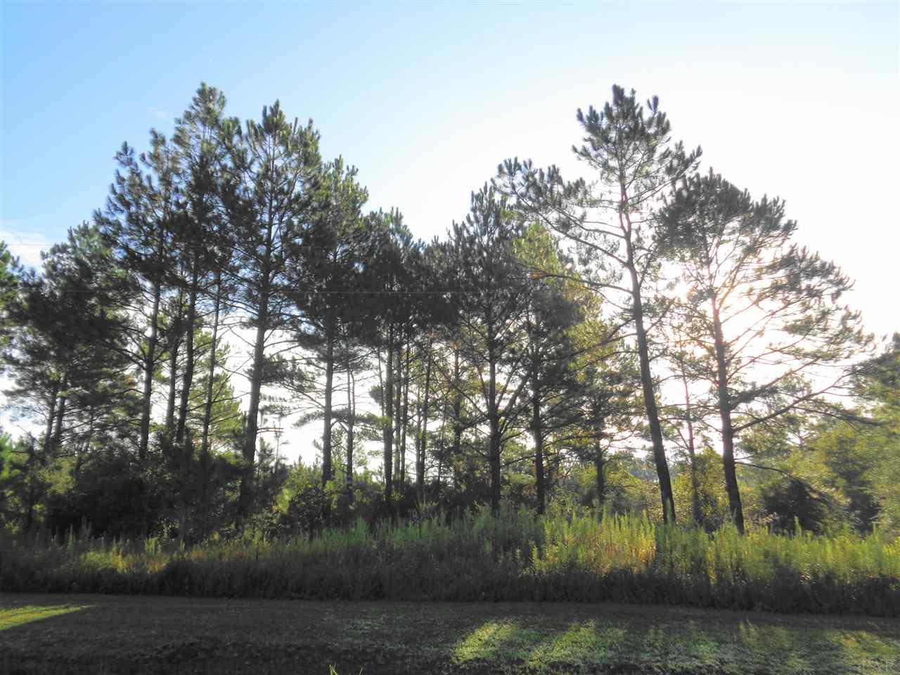 0 Cowpen Creek Road, Unit 9 Atmore, AL 36502 - Photo 2 of 6