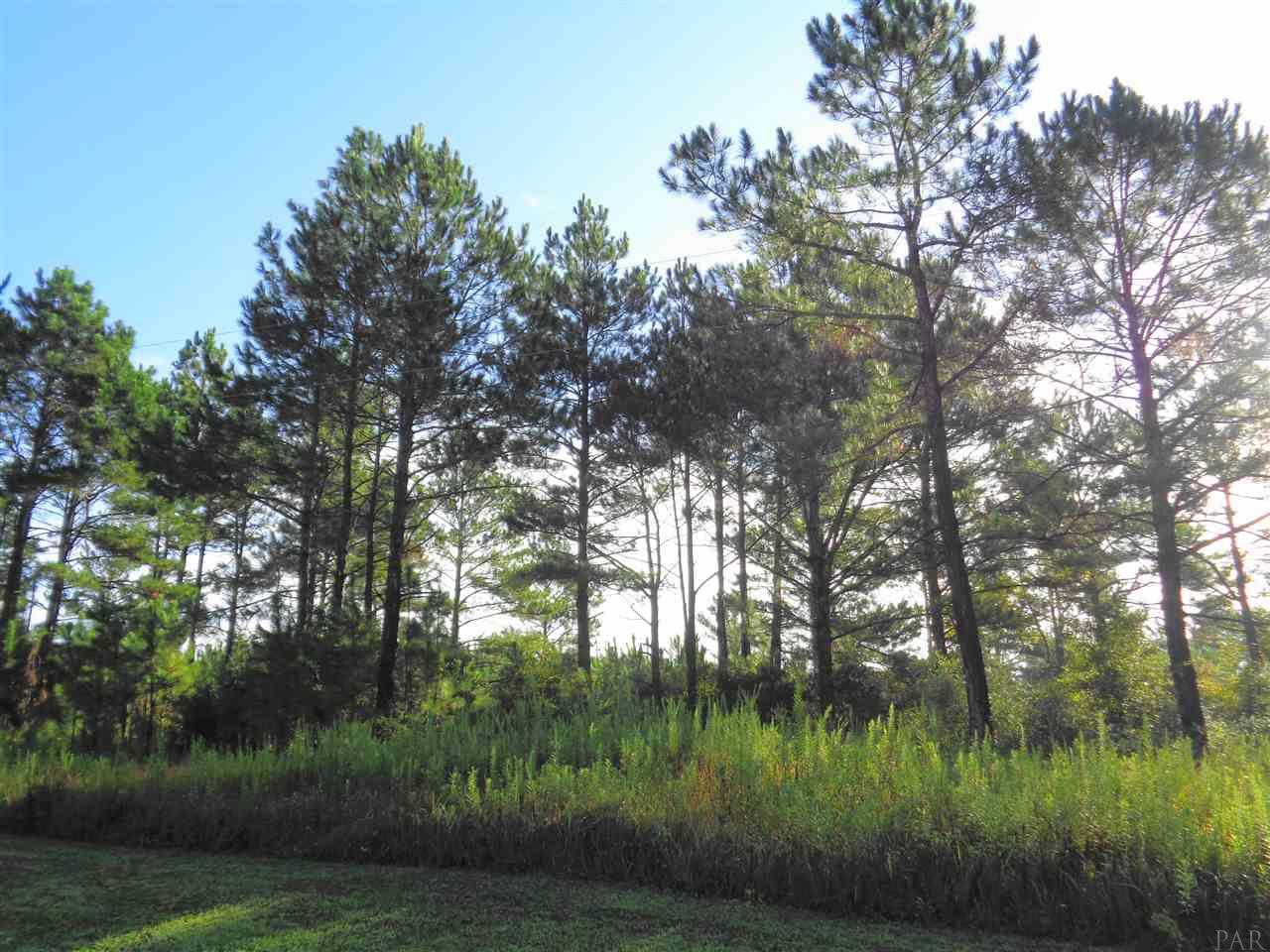 0 Cowpen Creek Road, Unit 9 Atmore, AL 36502 - Photo 3 of 6