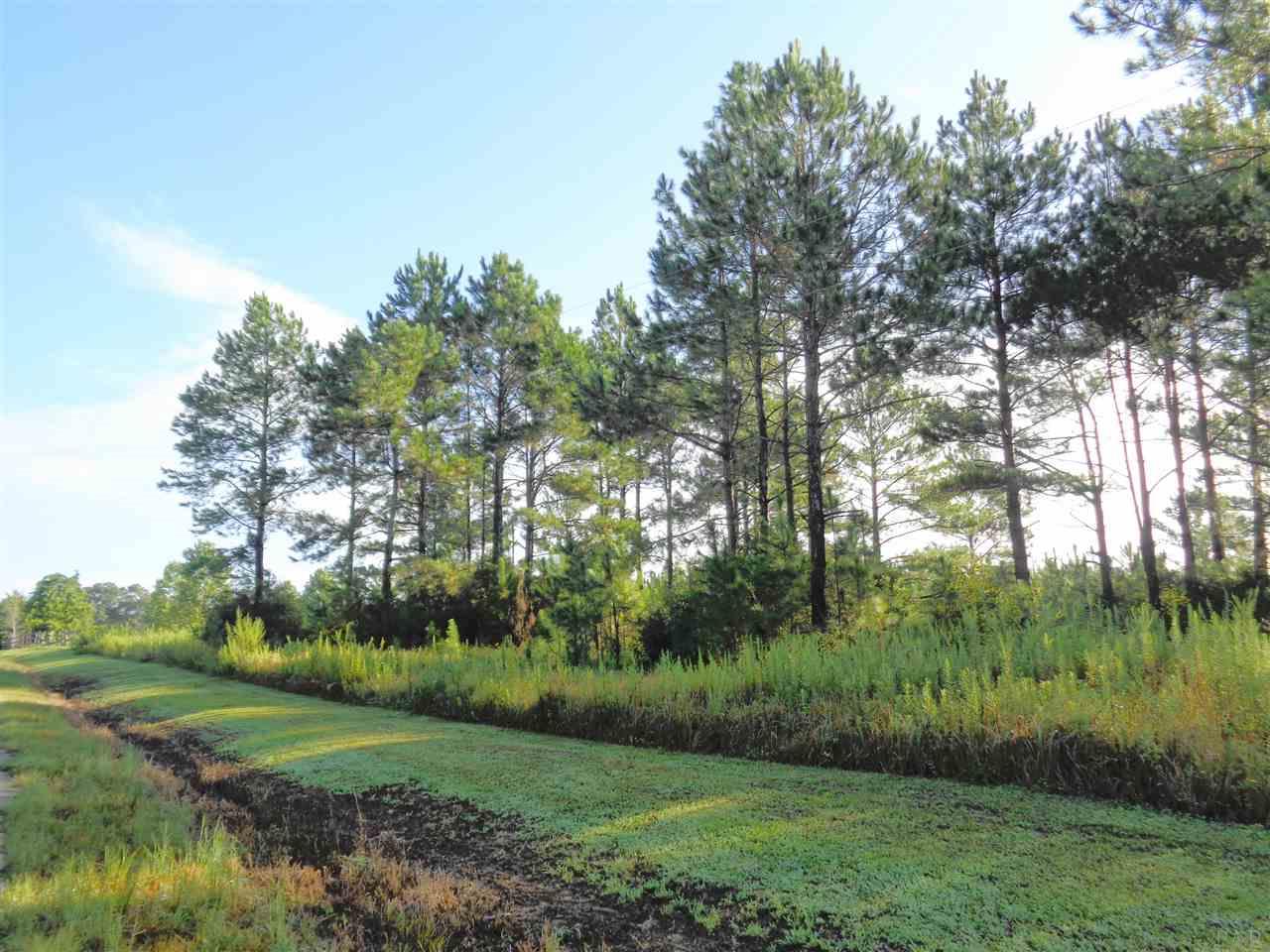 0 Cowpen Creek Road, Unit 9 Atmore, AL 36502 - Photo 4 of 6