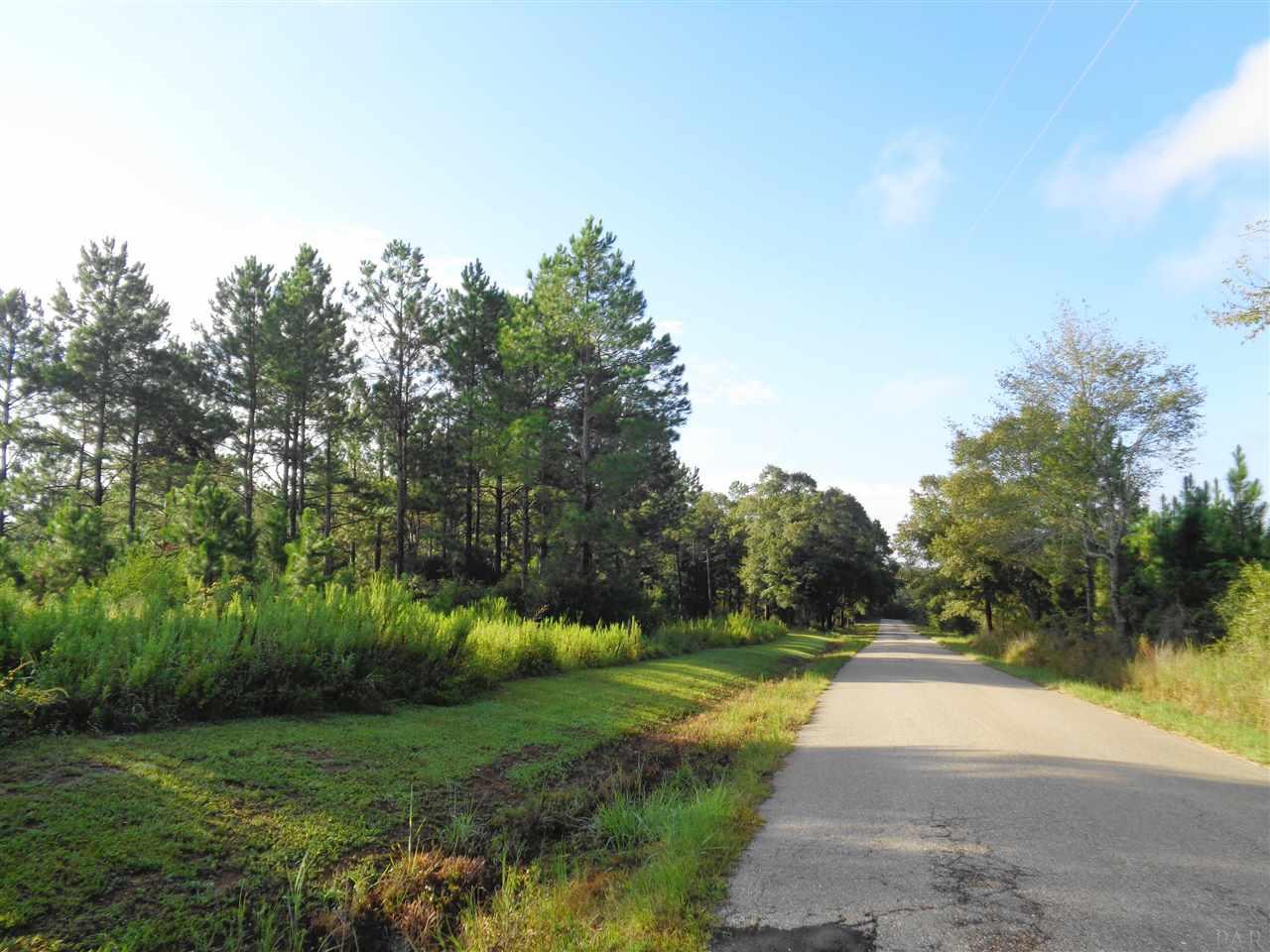 0 Cowpen Creek Road, Unit 9 Atmore, AL 36502 - Photo 5 of 6