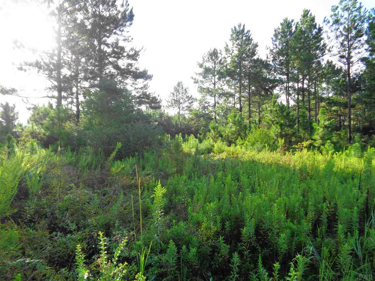0 Cowpen Creek Road, Unit 9 Atmore, AL 36502 - Photo 6 of 6