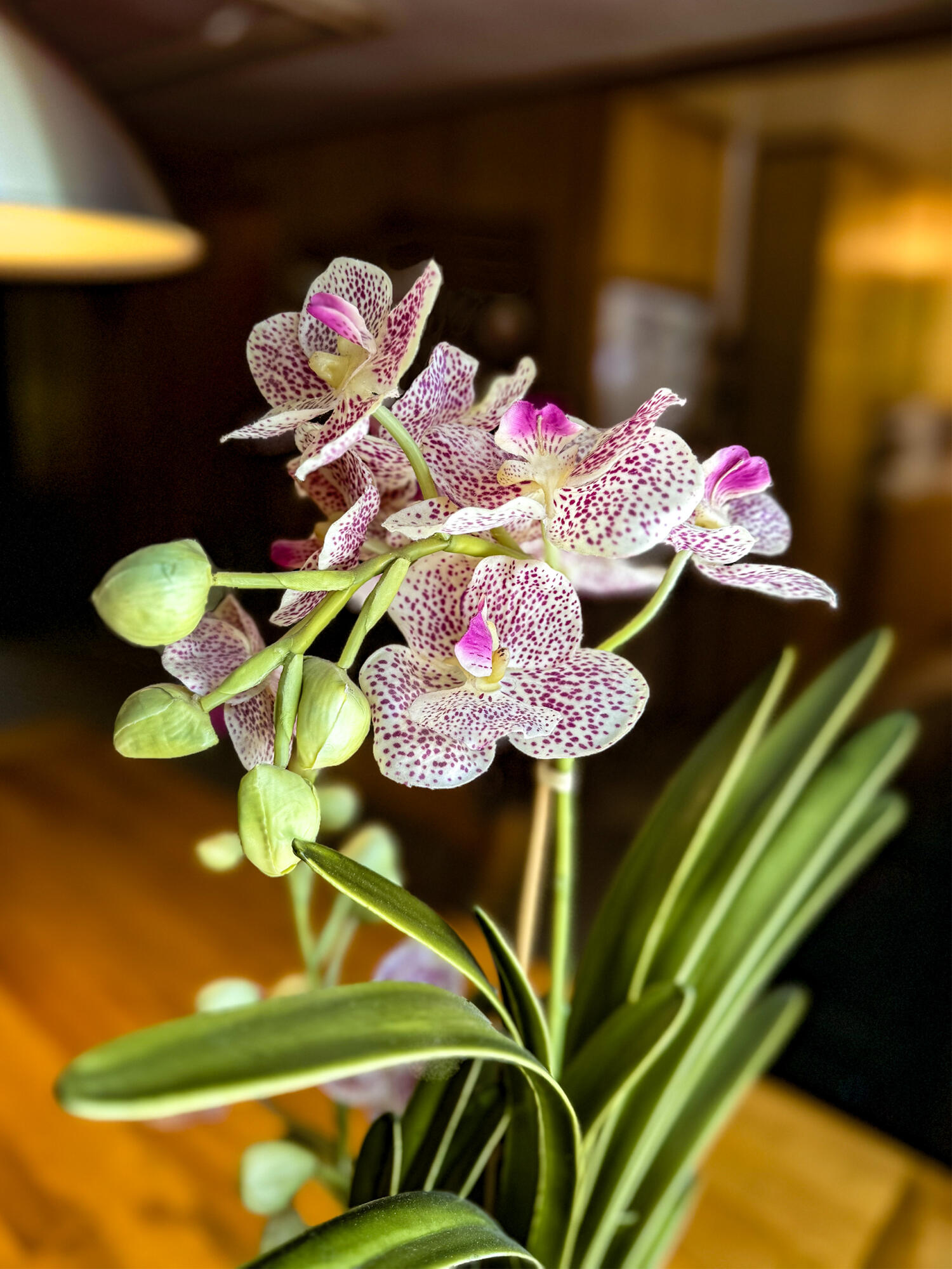 26975 Idyllwild Road Idyllwild, CA 92549 - Photo 21 of 65 a vase of flowers sitting on a table