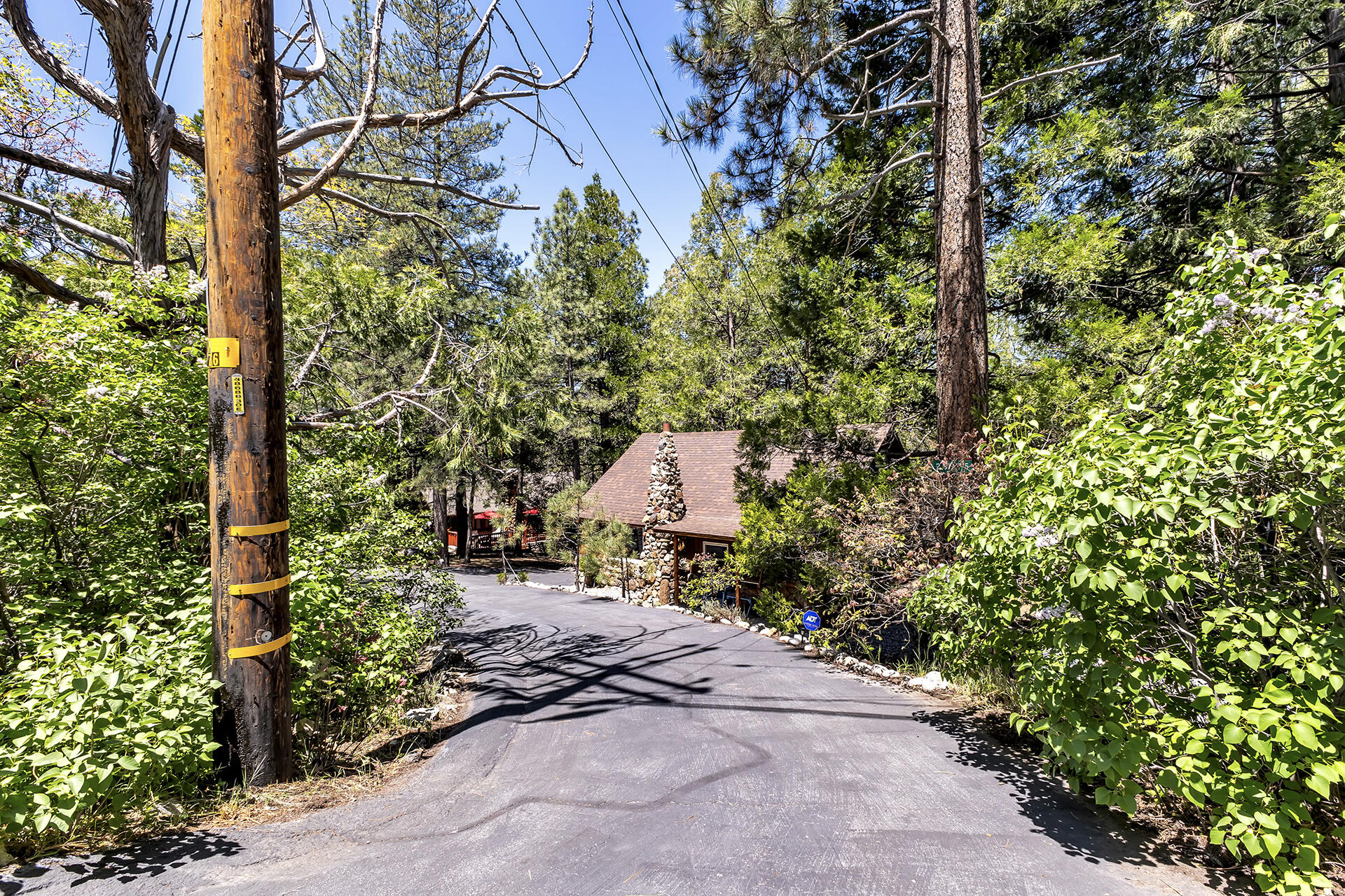 26975 Idyllwild Road Idyllwild, CA 92549 - Photo 3 of 65 IMG_4473