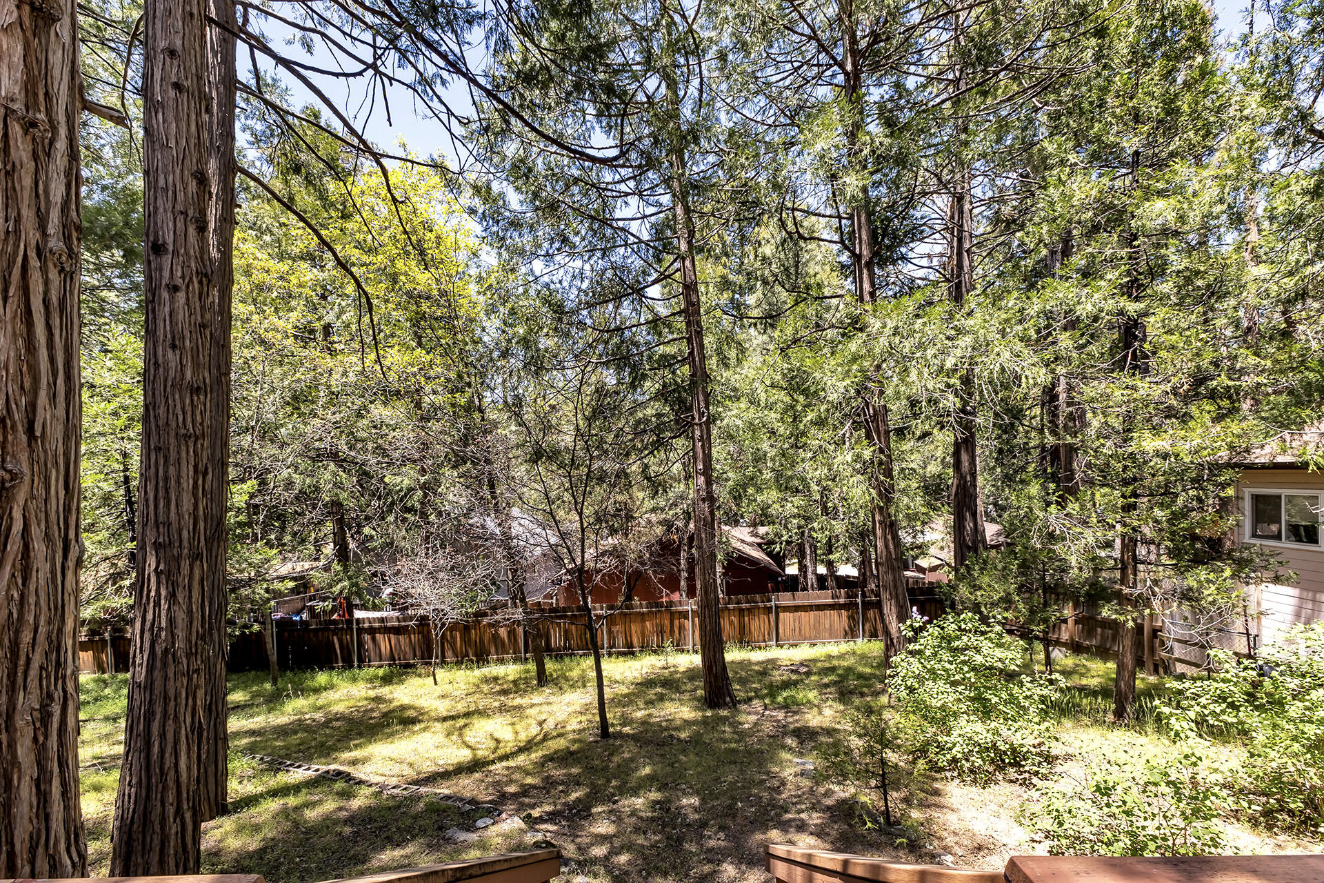 26975 Idyllwild Road Idyllwild, CA 92549 - Photo 46 of 65 a view of swimming pool with lawn chairs and plants