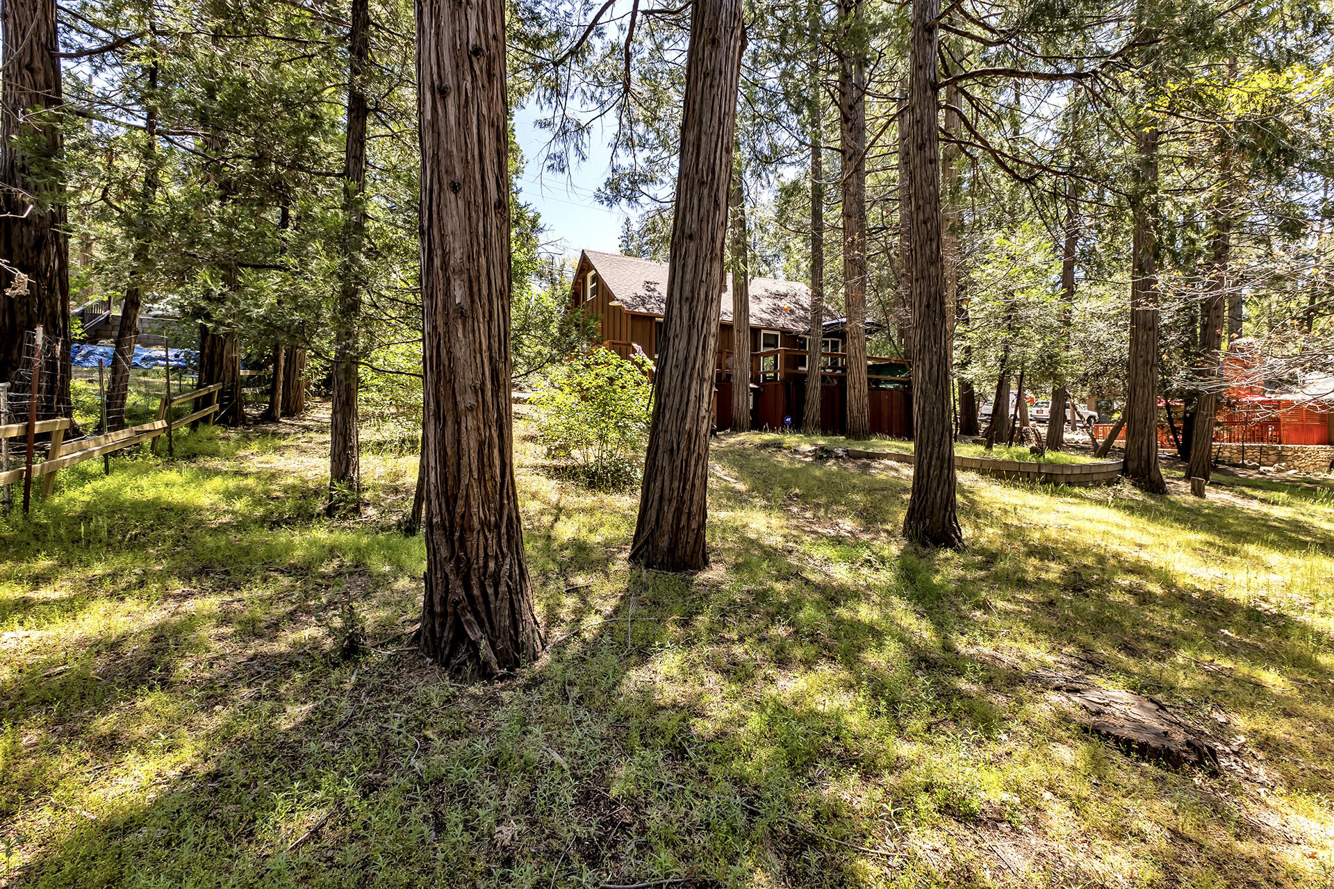 26975 Idyllwild Road Idyllwild, CA 92549 - Photo 48 of 65 a view of yard with tree