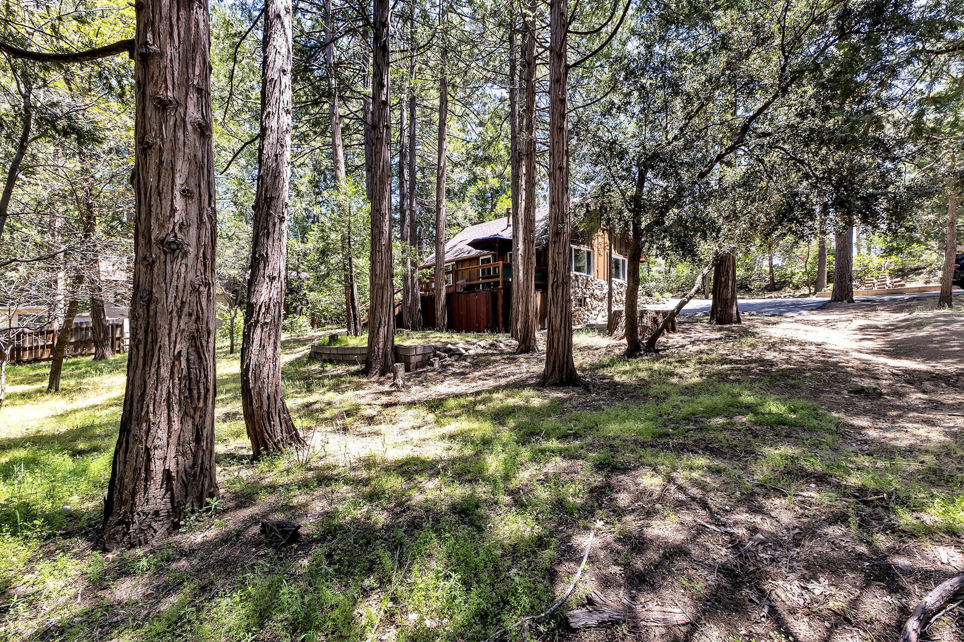26975 Idyllwild Road Idyllwild, CA 92549 - Photo 51 of 65 a view of a park with large trees and a large tree