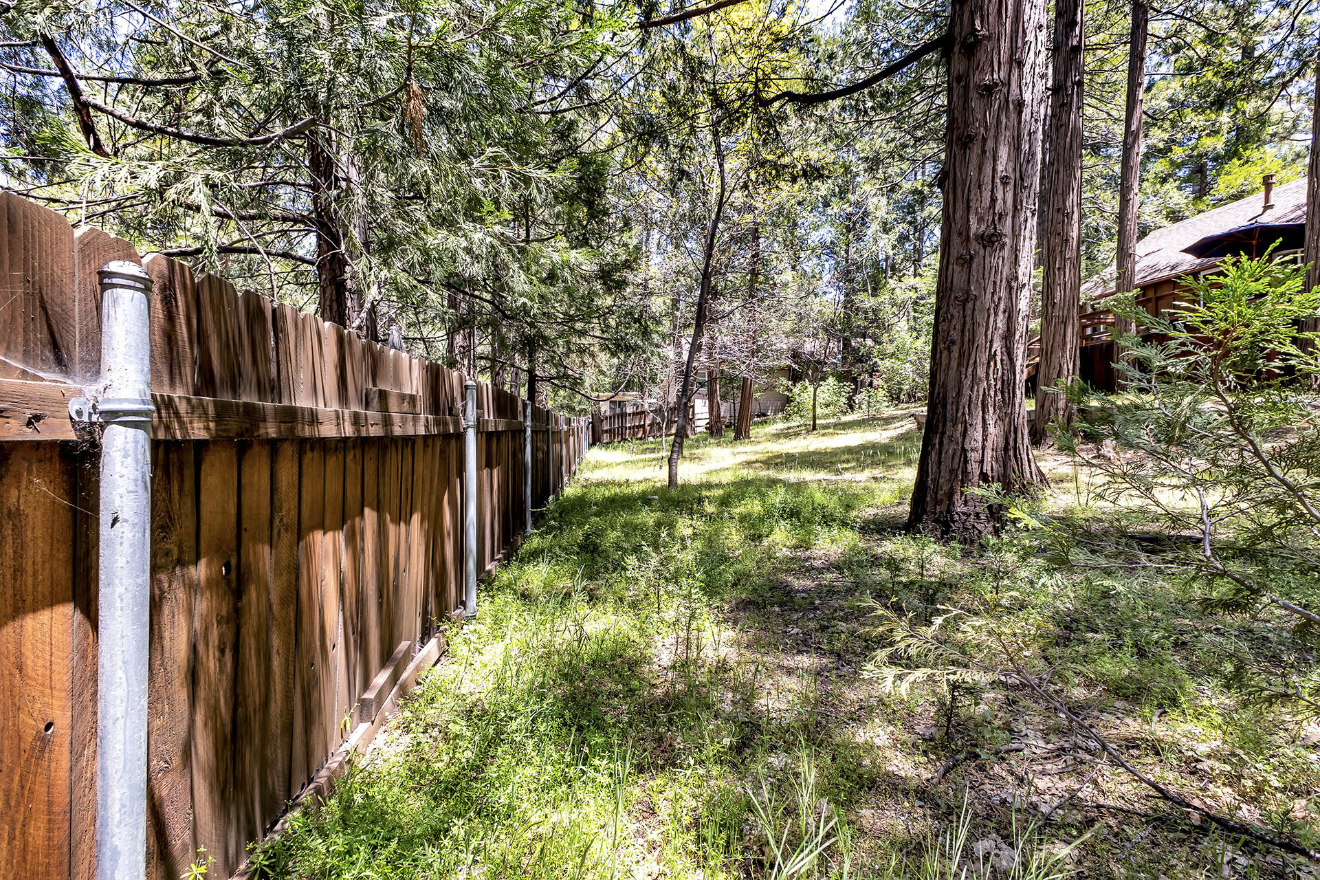 26975 Idyllwild Road Idyllwild, CA 92549 - Photo 52 of 65 a view of yard with green space