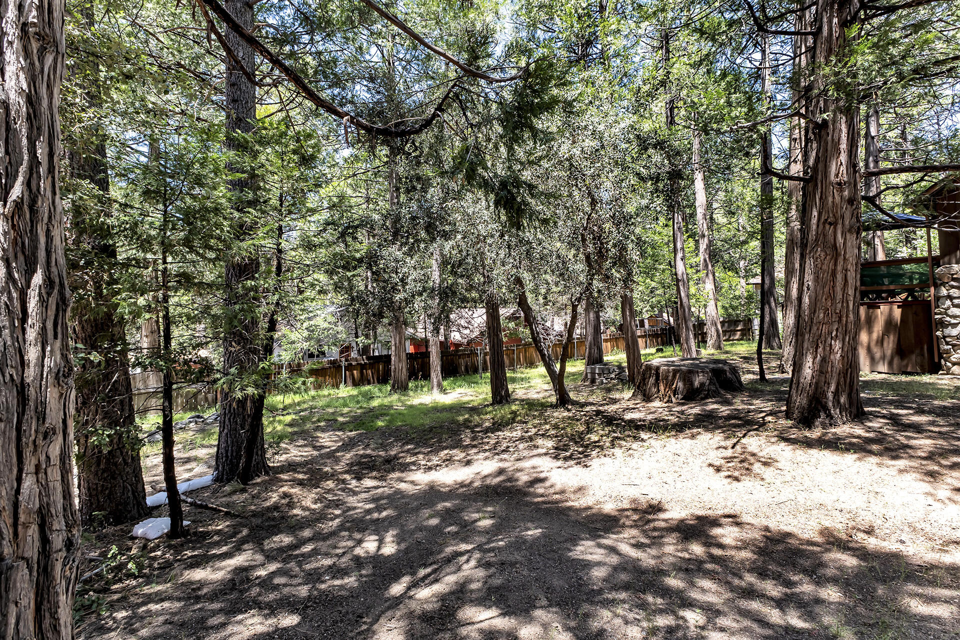 26975 Idyllwild Road Idyllwild, CA 92549 - Photo 54 of 65 a view of a tree in the middle of a yard