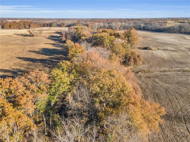 $572,750 | 311 Road Hale Mo 64643, Hale, MO 64643