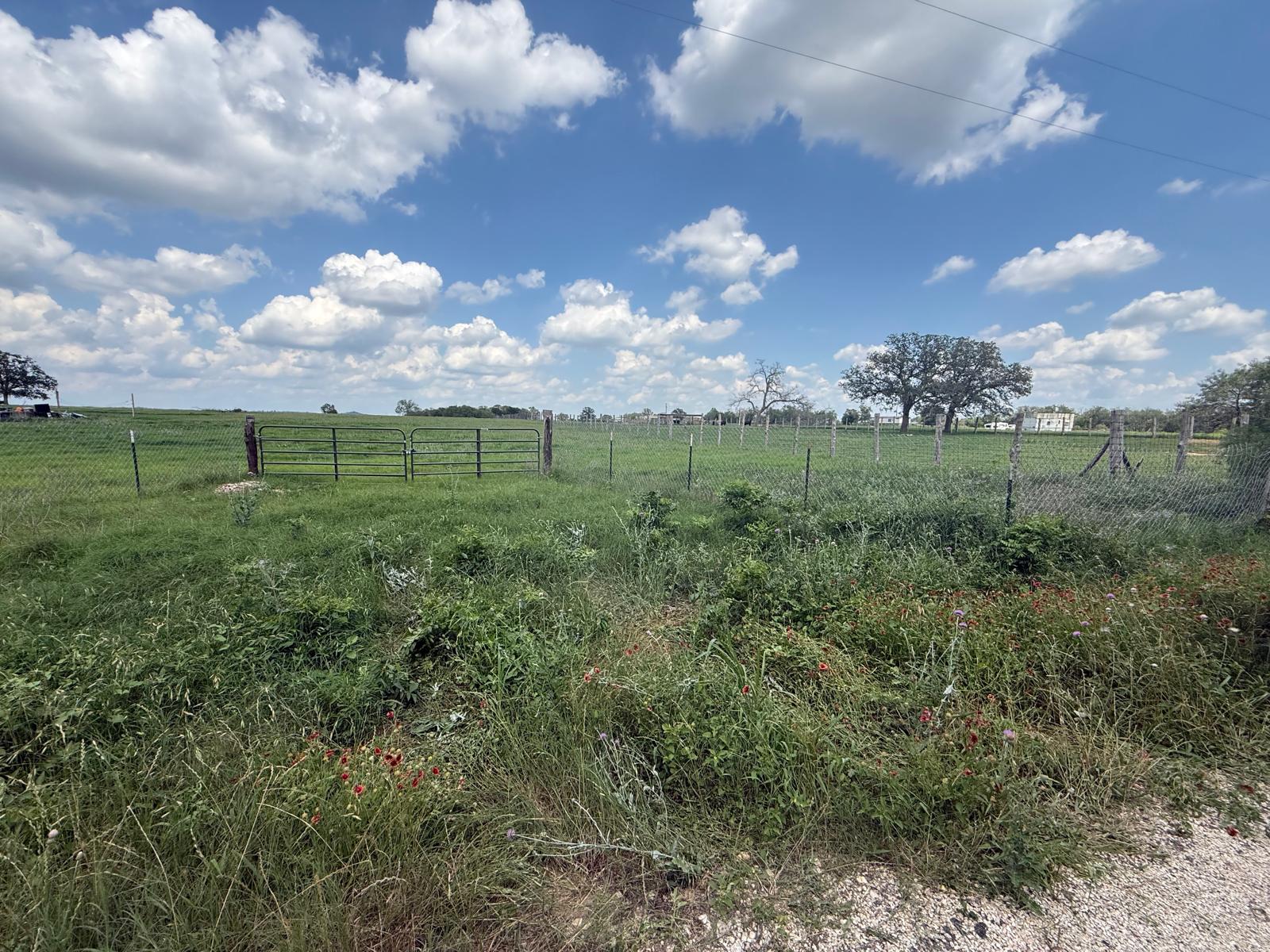 5309 Tenney Creek Road Luling, TX 78648 - Photo 10 of 10 A verdant, open lot awaits your vision, bordered by a sturdy wire fence and a classic gate.