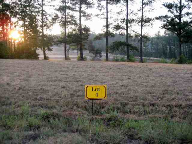 Lot 4 Talley Scott Road Piedmont, SC 29673 - Photo 1 of 3 Gallery Image 1