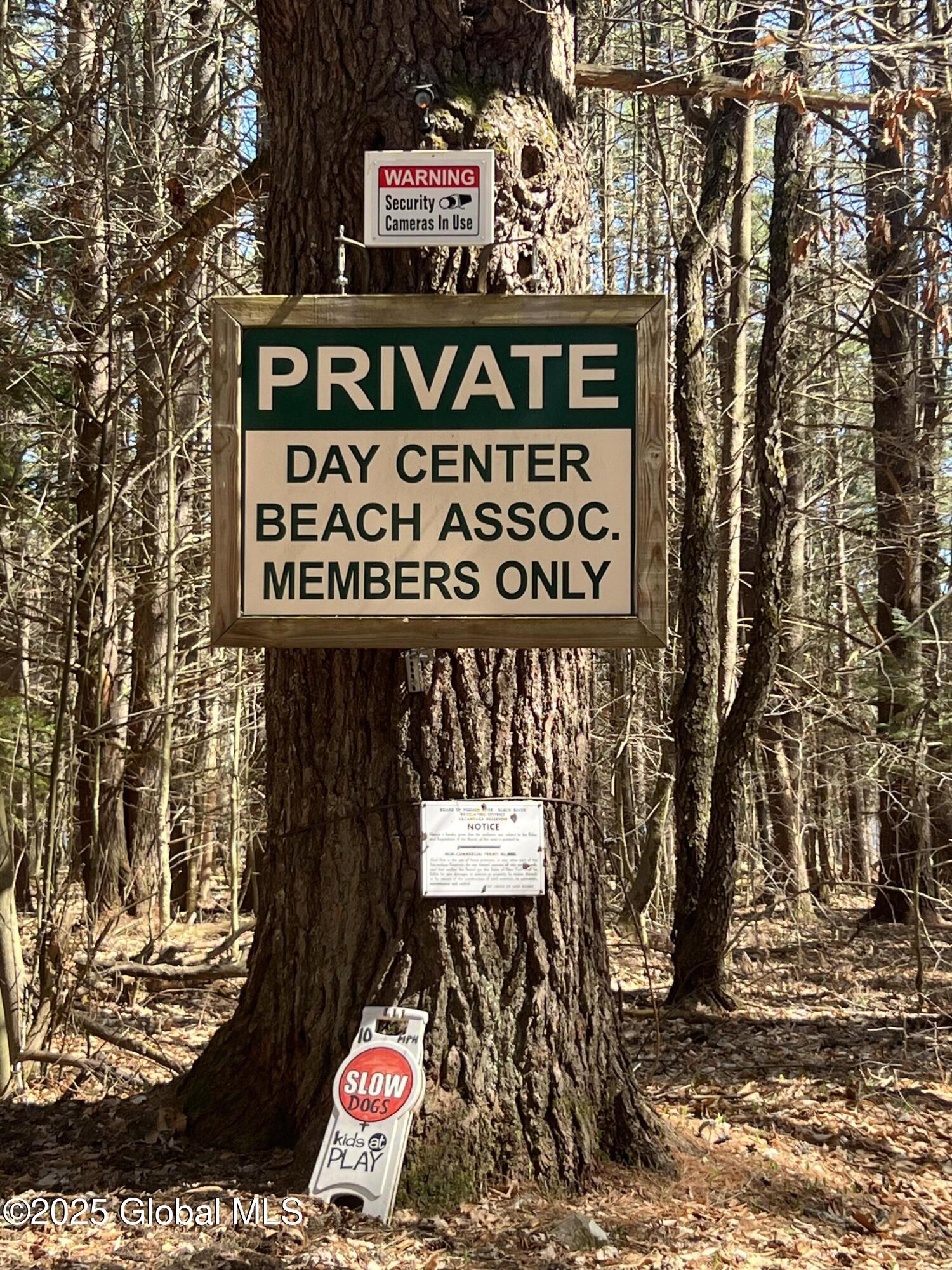 1609 North Shore Road Day, NY 12835 - Photo 4 of 41 21B428E4-0257-4232-8075-9735D1BCE906