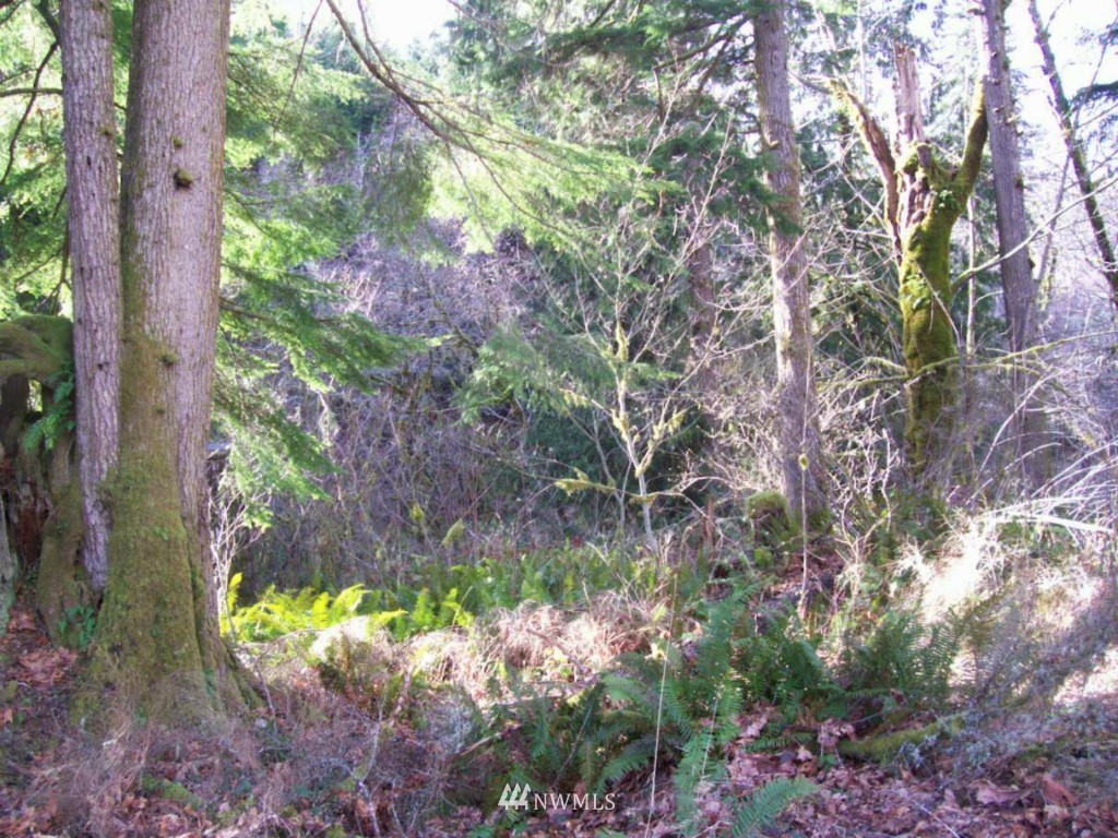 8202 Rose Valley Road Kelso, WA 98626 - Photo 5 of 15 Gallery Image 5