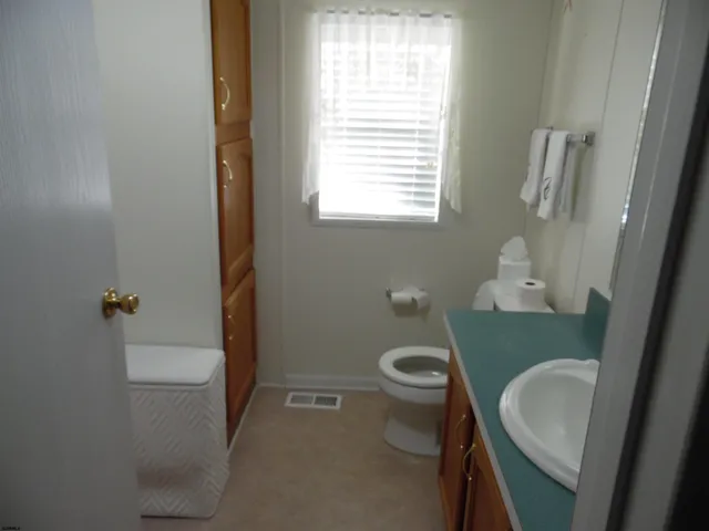 a bathroom with a sink and a toilet