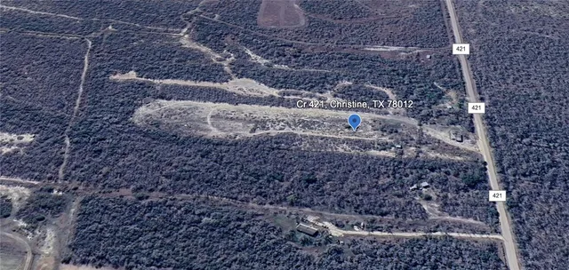 a view of a dry yard