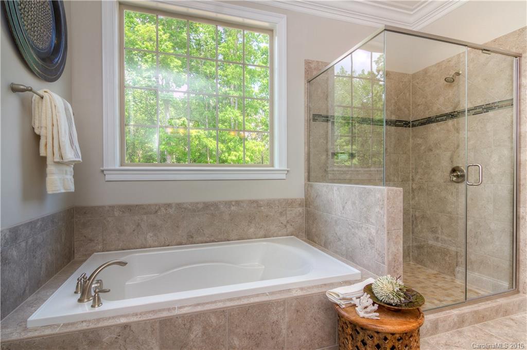 149 Forsythia Lane, Unit 688 Tega Cay, SC 29708 - Photo 9 of 24 Gallery Image 9