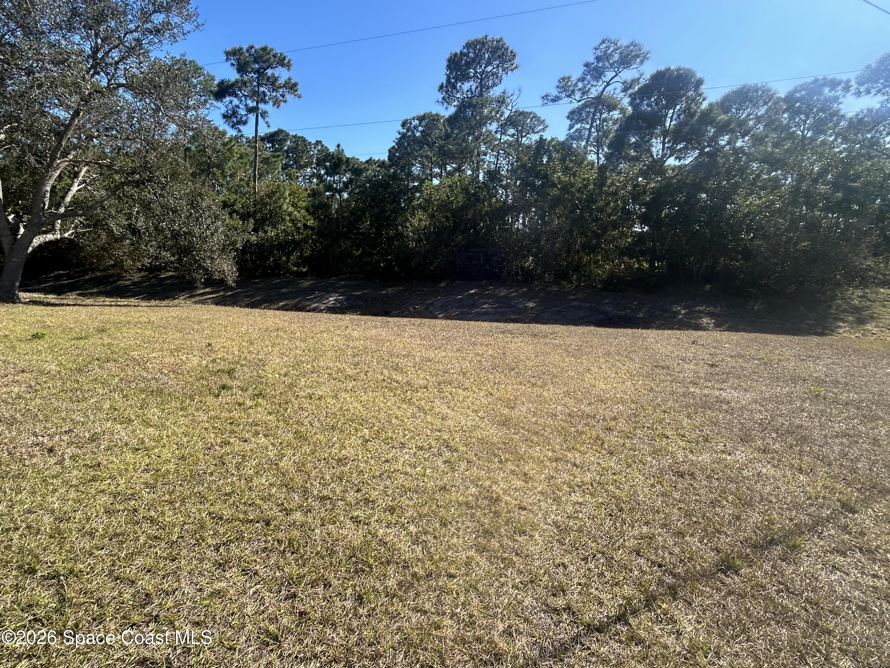 162 Mabry Street Sebastian, FL 32958 - Photo 22 of 23 Dian backyard