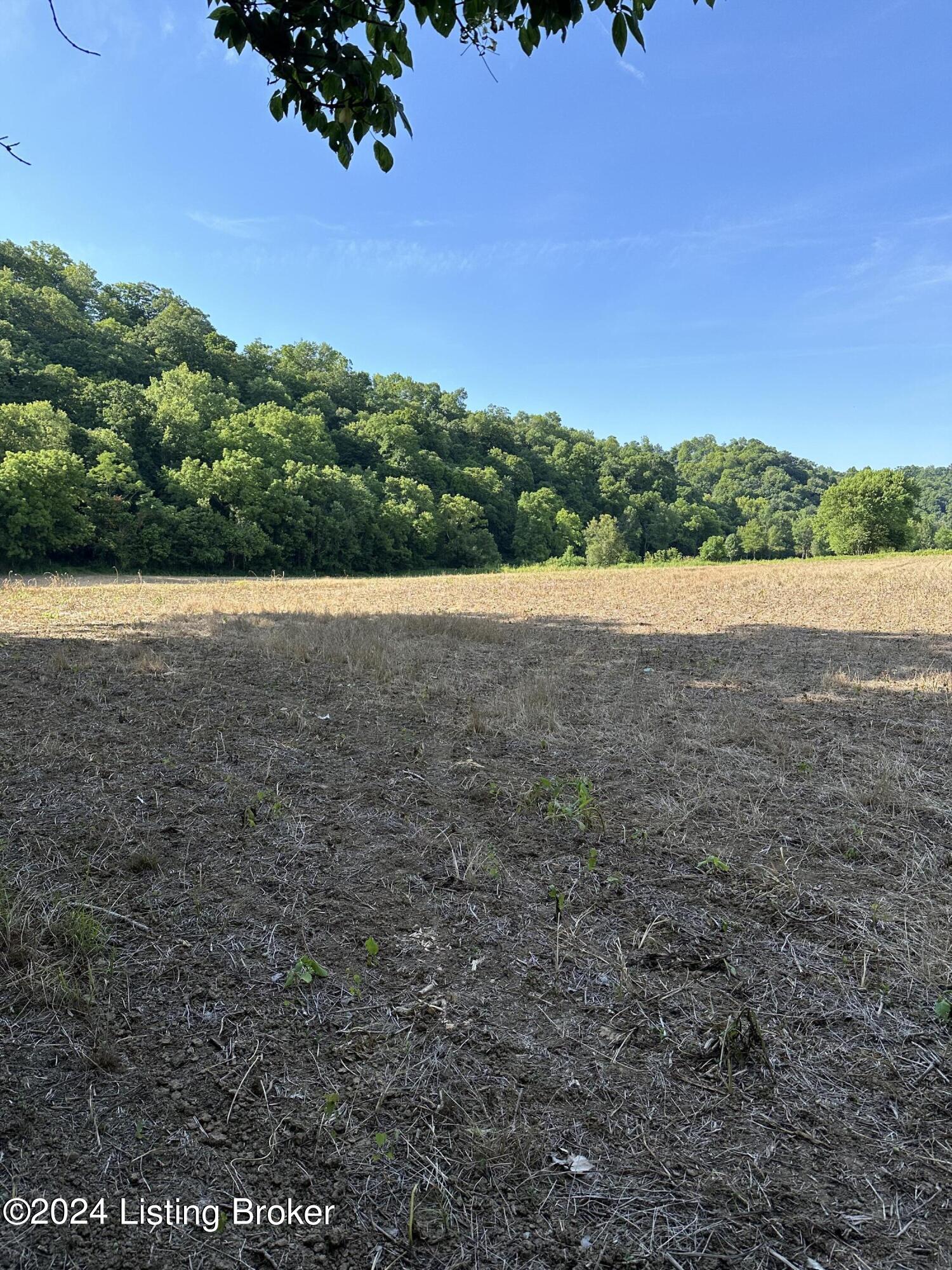 3100 Wises Landing Road Bedford, KY 40006 - Photo 7 of 8 wises3