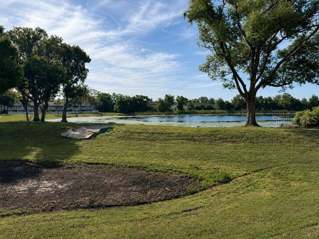 4401 Dylan Loop, Unit 164 Land O' Lakes, FL 34639 - Photo 30 of 41
