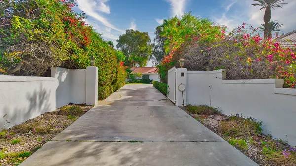 a street view with a garden