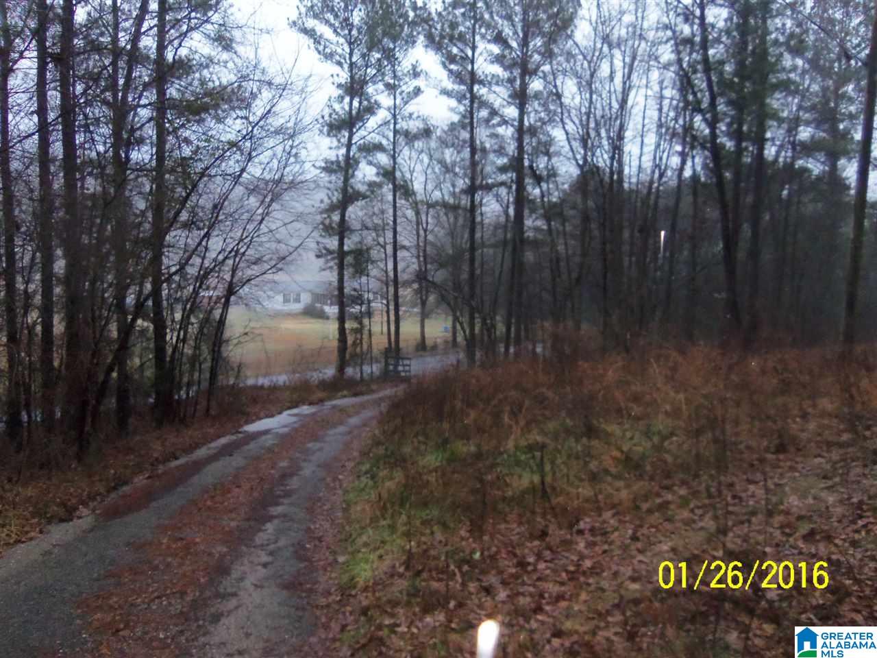 595 Bramlett Road Piedmont, AL 36272 - Photo 1 of 12