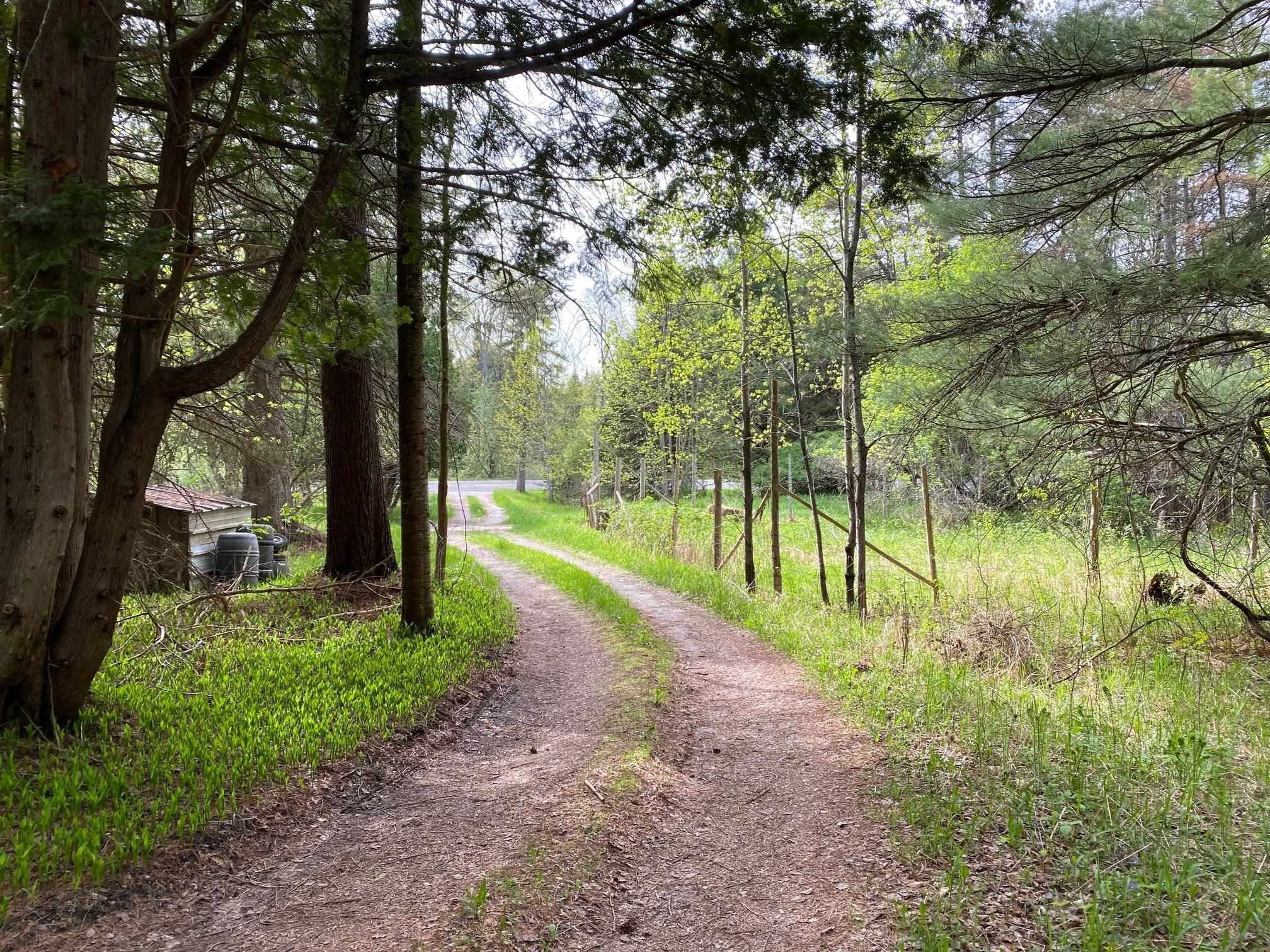 0 South Good Harbor Trail, Unit PARCEL B Cedar, MI 49621 - Photo 11 of 19
