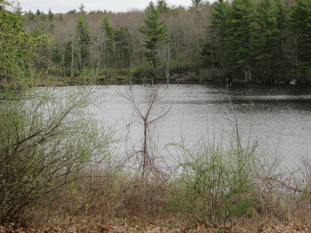 516 Townsend Road Mason, NH 03048 - Photo 2 of 36