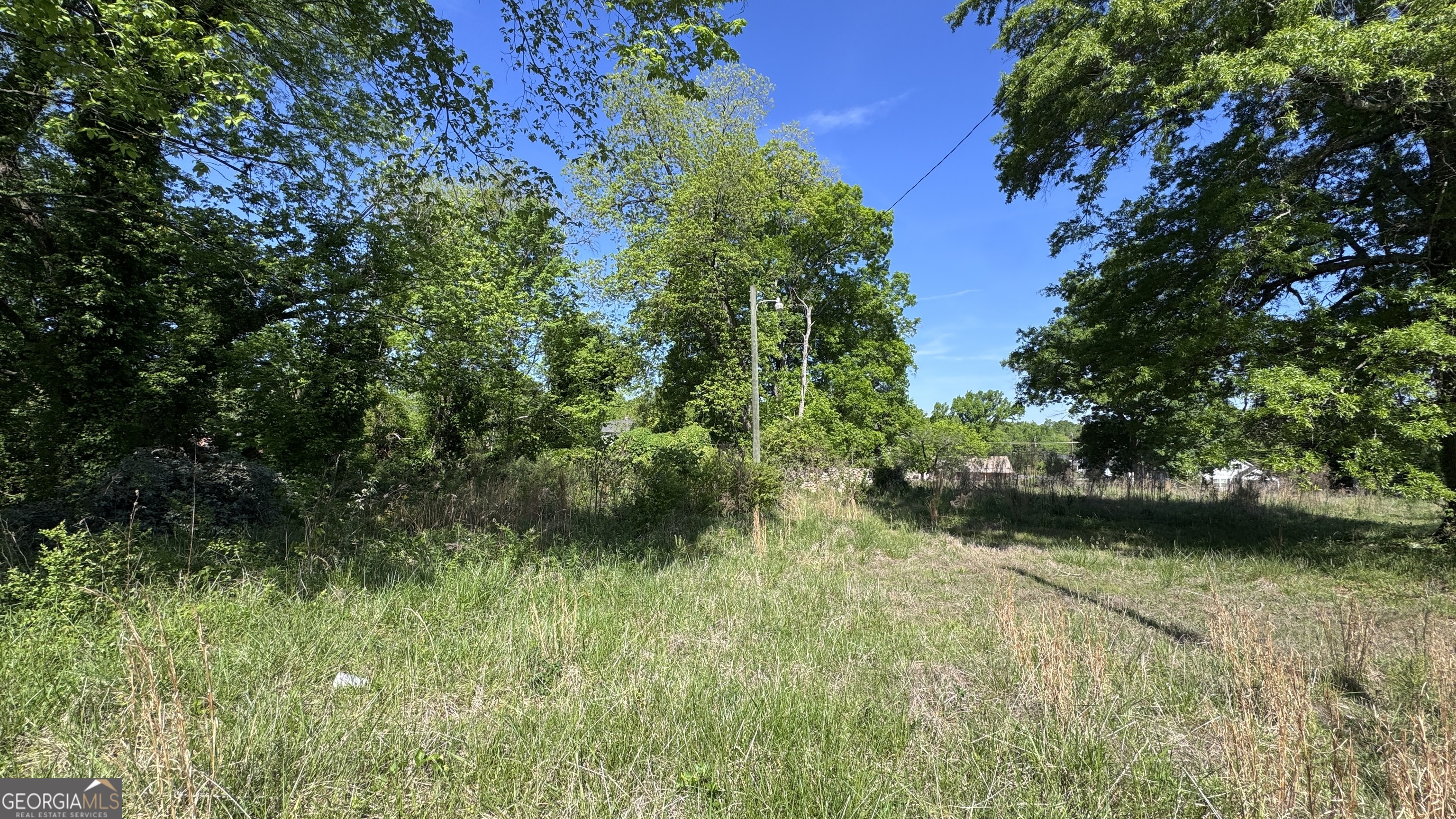 703 South Broad Street Rome, GA 30161 - Photo 5 of 17 a view of a yard