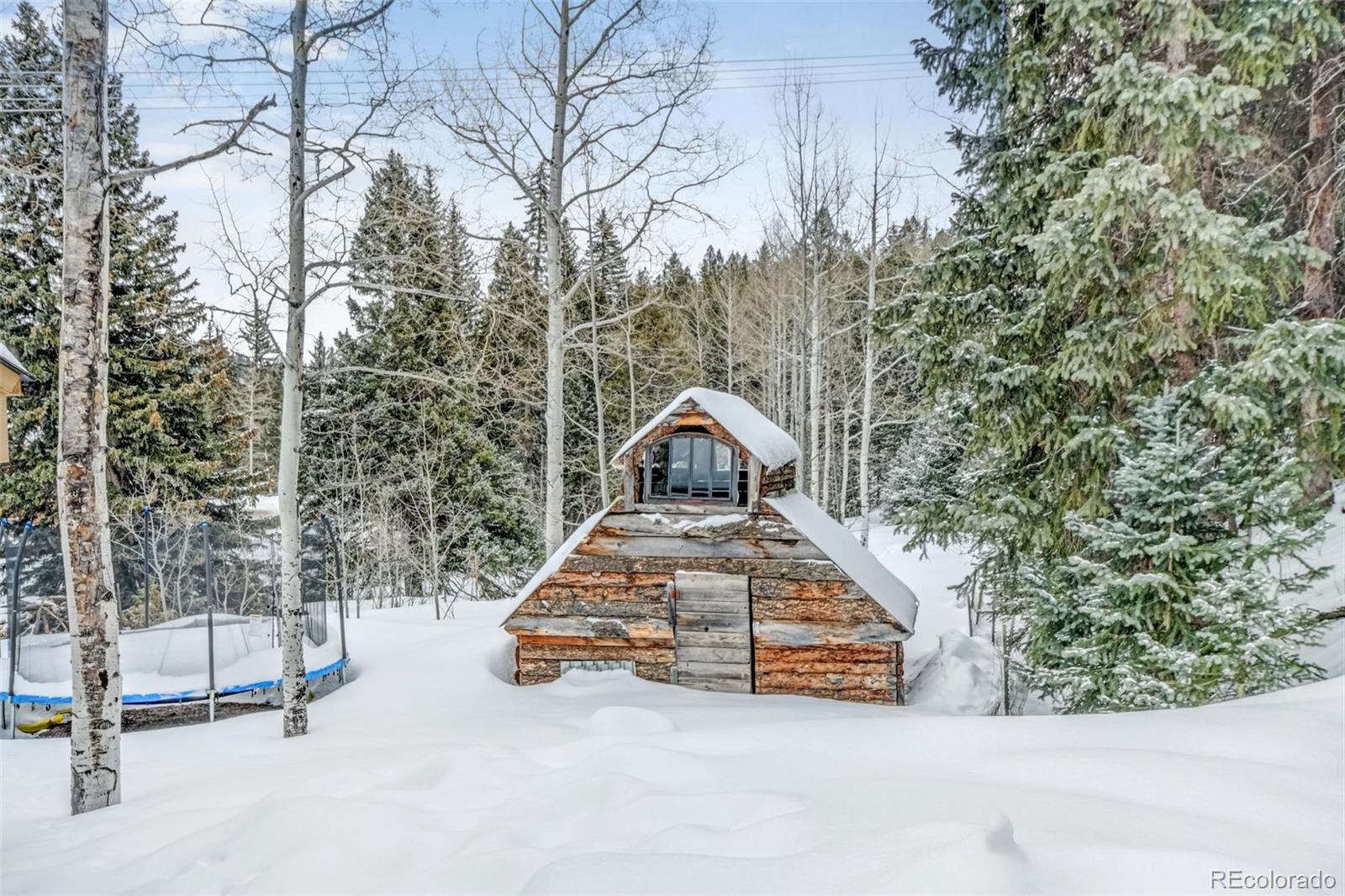 34038 Forest Estates Road, Unit AD Evergreen, CO 80439 - Photo 29 of 39 Gallery Image 29