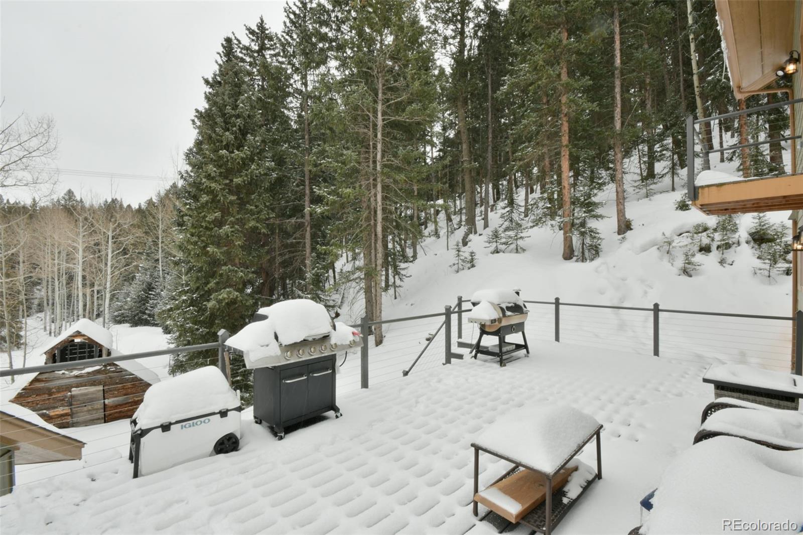 34038 Forest Estates Road, Unit AD Evergreen, CO 80439 - Photo 39 of 39 Gallery Image 39