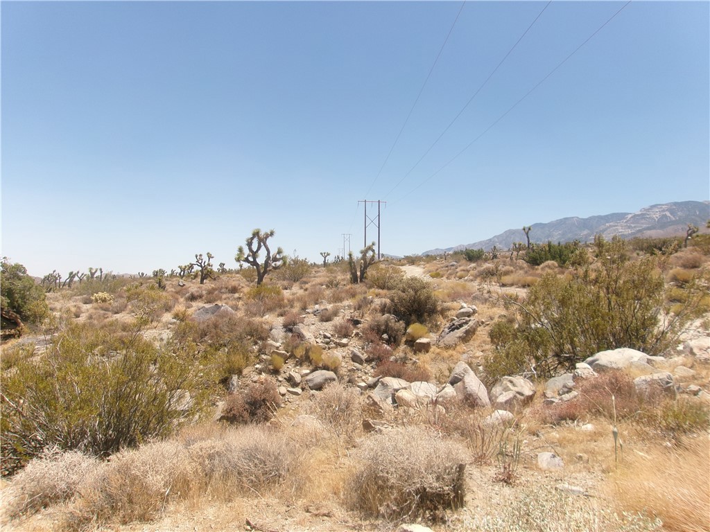 8020 Miller Ranch Road Lucerne Valley, CA 92356 - Photo 3 of 7