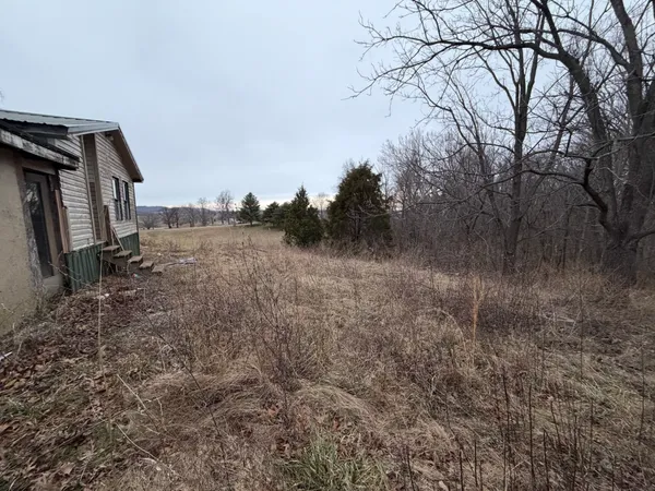 a view of a yard