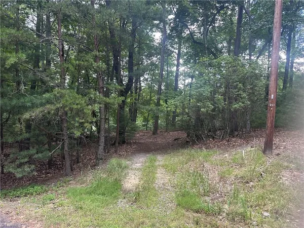 $45,500 | 140 Viewpoint Drive, Traphill, NC 28685