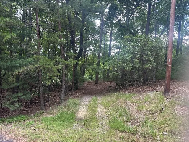 $45,500 | 140 Viewpoint Drive, Traphill, NC 28685
