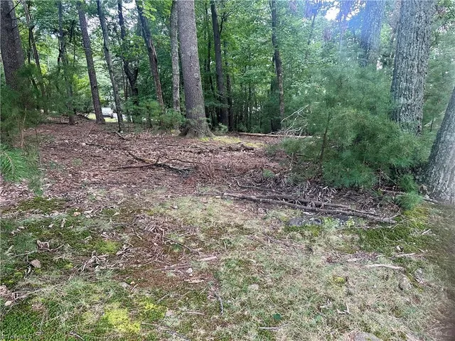 $45,500 | 140 Viewpoint Drive, Traphill, NC 28685