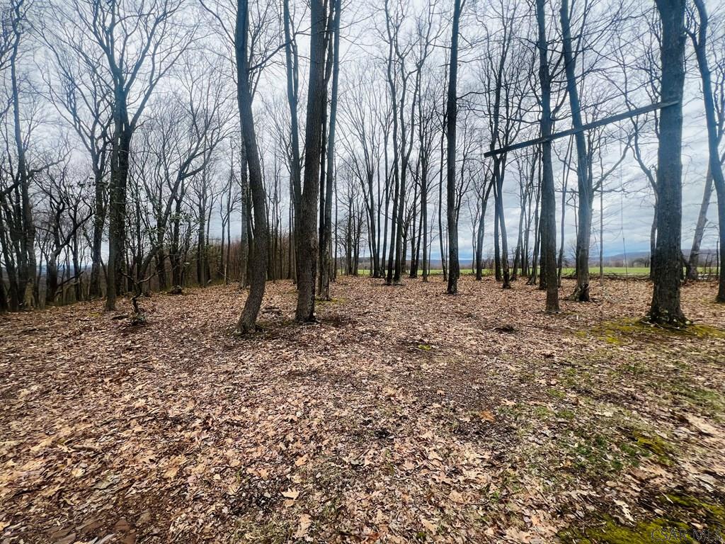 0 Resh Road Fort Hill, PA 15540 - Photo 11 of 17 Gallery Image 11