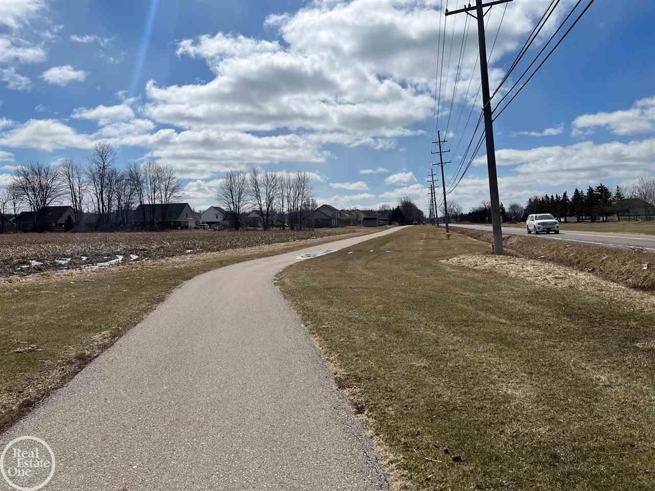 Vacant County Line Road New Baltimore, MI 48047 - Photo 4 of 4