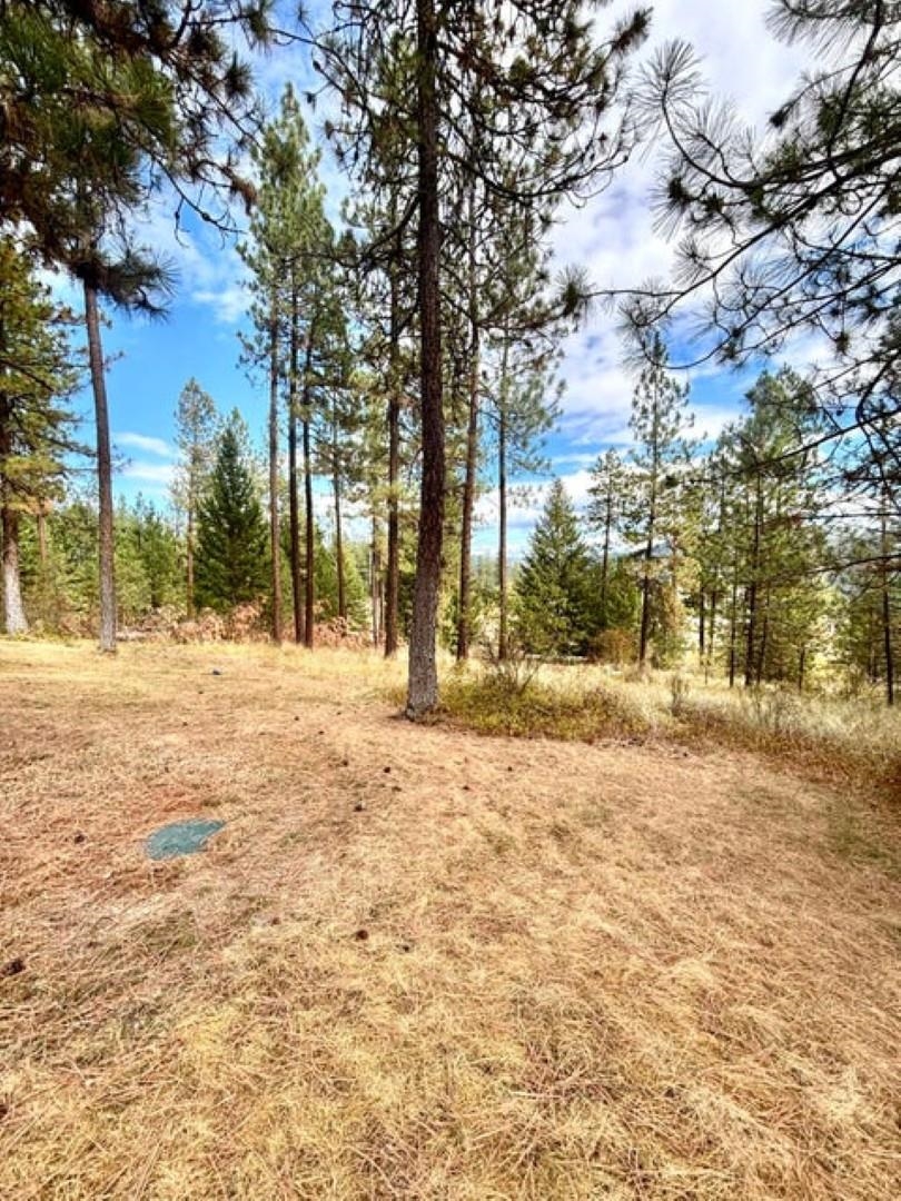 696 D Arden Hill Road Colville, WA 99114 - Photo 11 of 20