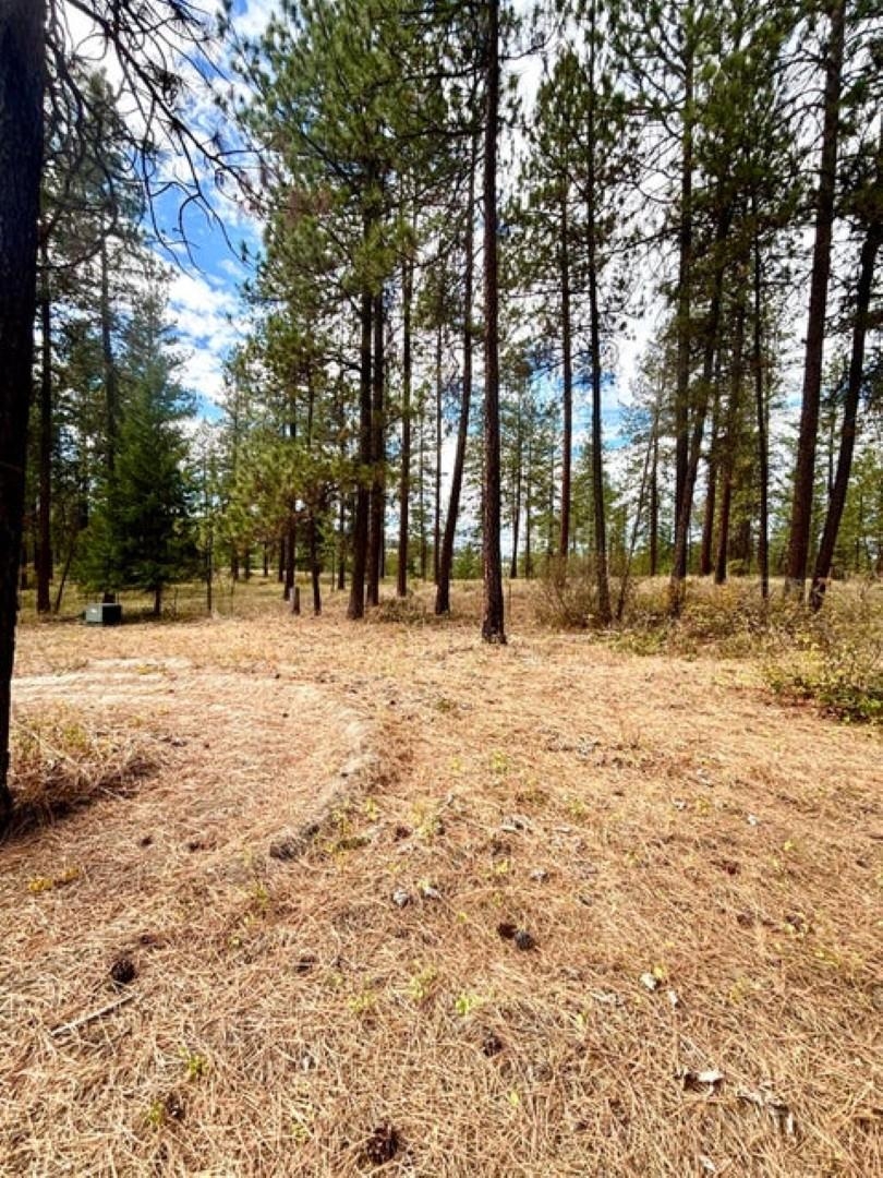 696 D Arden Hill Road Colville, WA 99114 - Photo 7 of 20