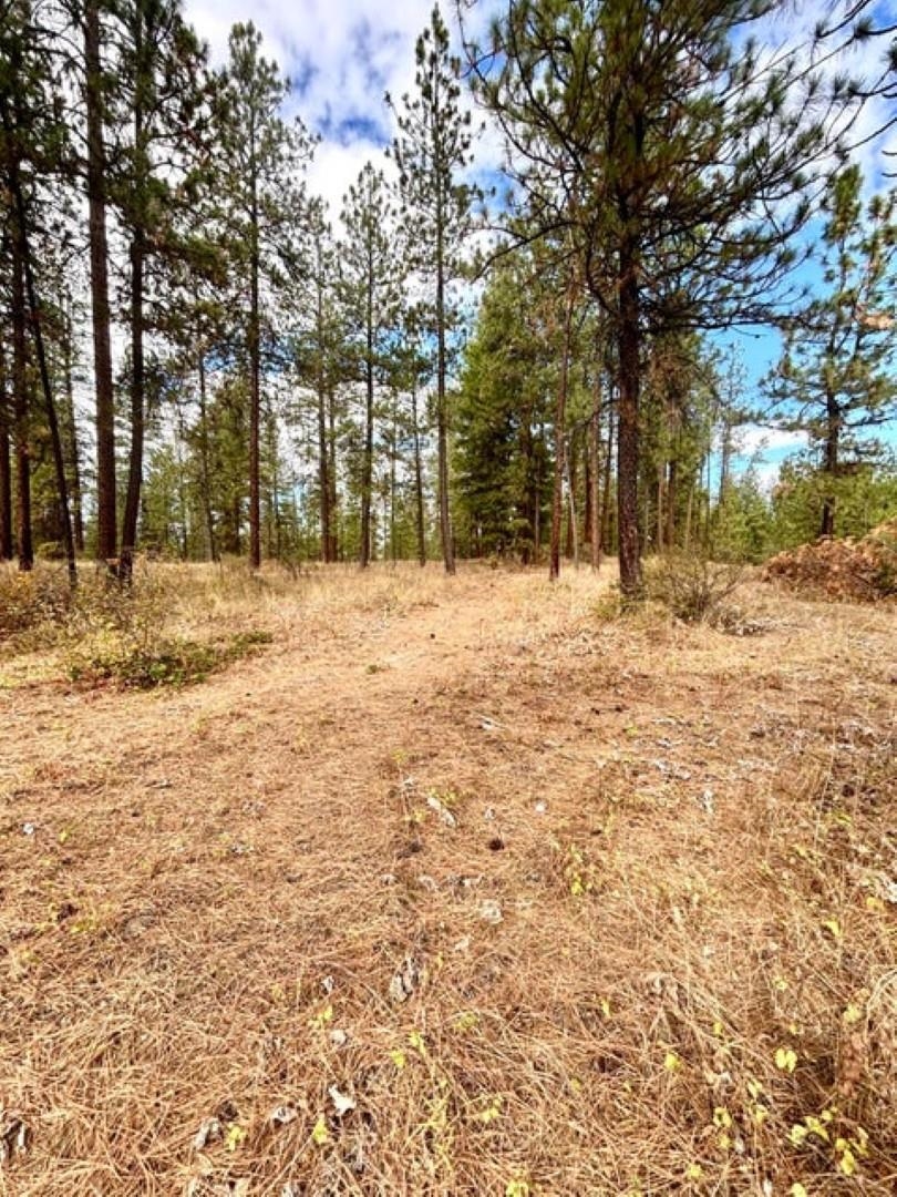 696 D Arden Hill Road Colville, WA 99114 - Photo 8 of 20