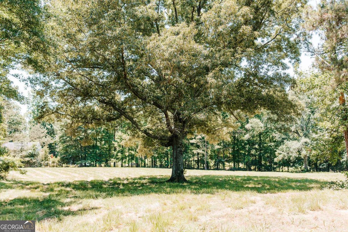 0 Mitchell Farm Road Colbert, GA 30628 - Photo 13 of 45