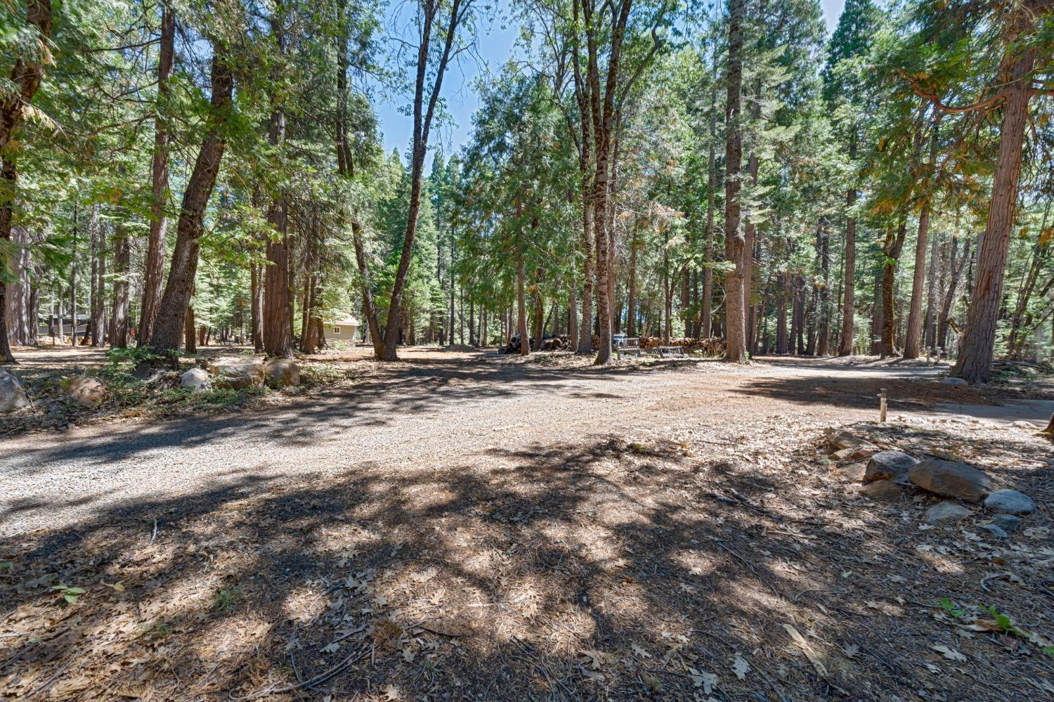 740 Hideaway Loop Alta, CA 95701 - Photo 63 of 74 a backyard of a house with trees
