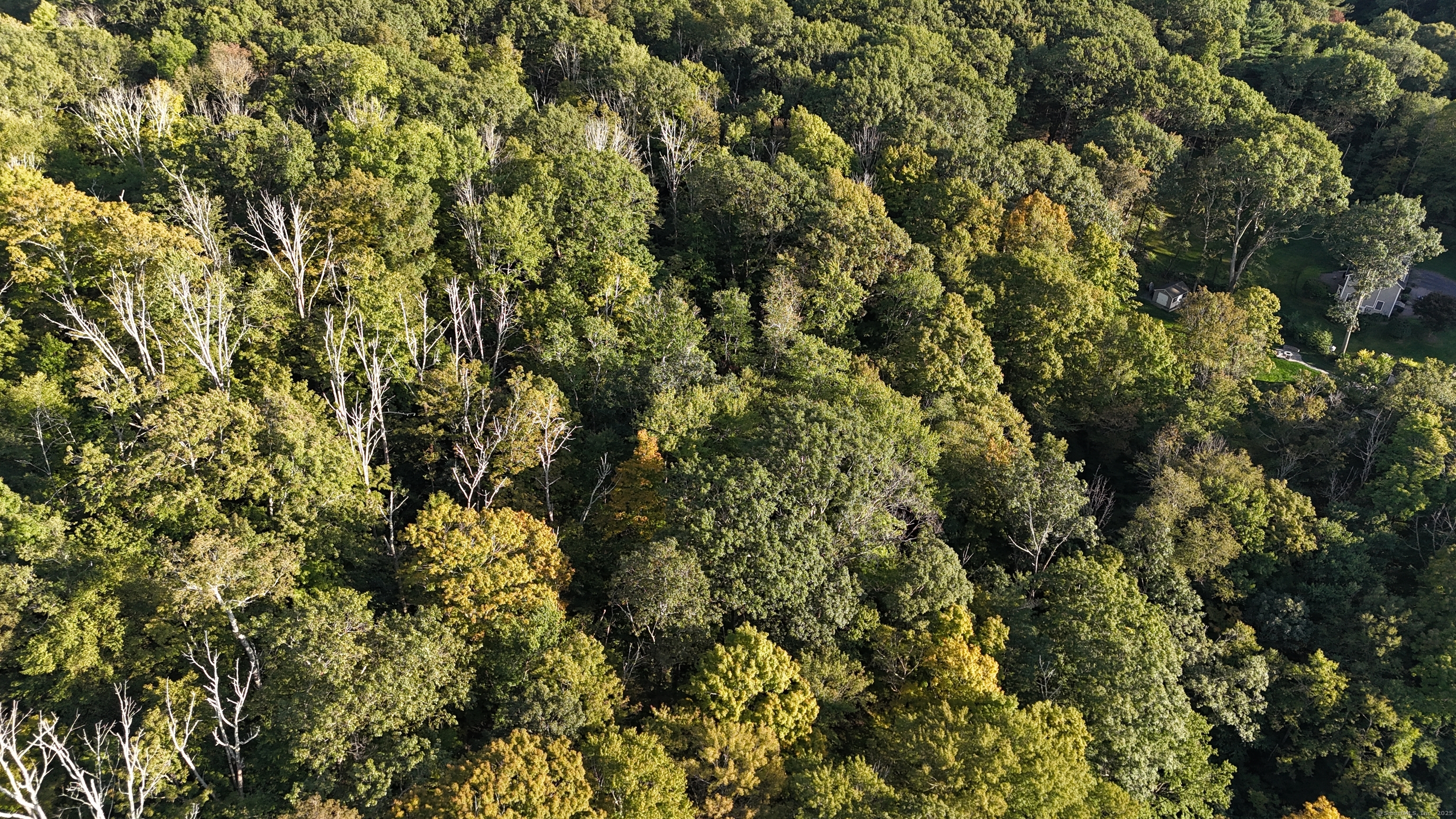 1739 Weed Road Torrington, CT 06790 - Photo 2 of 6