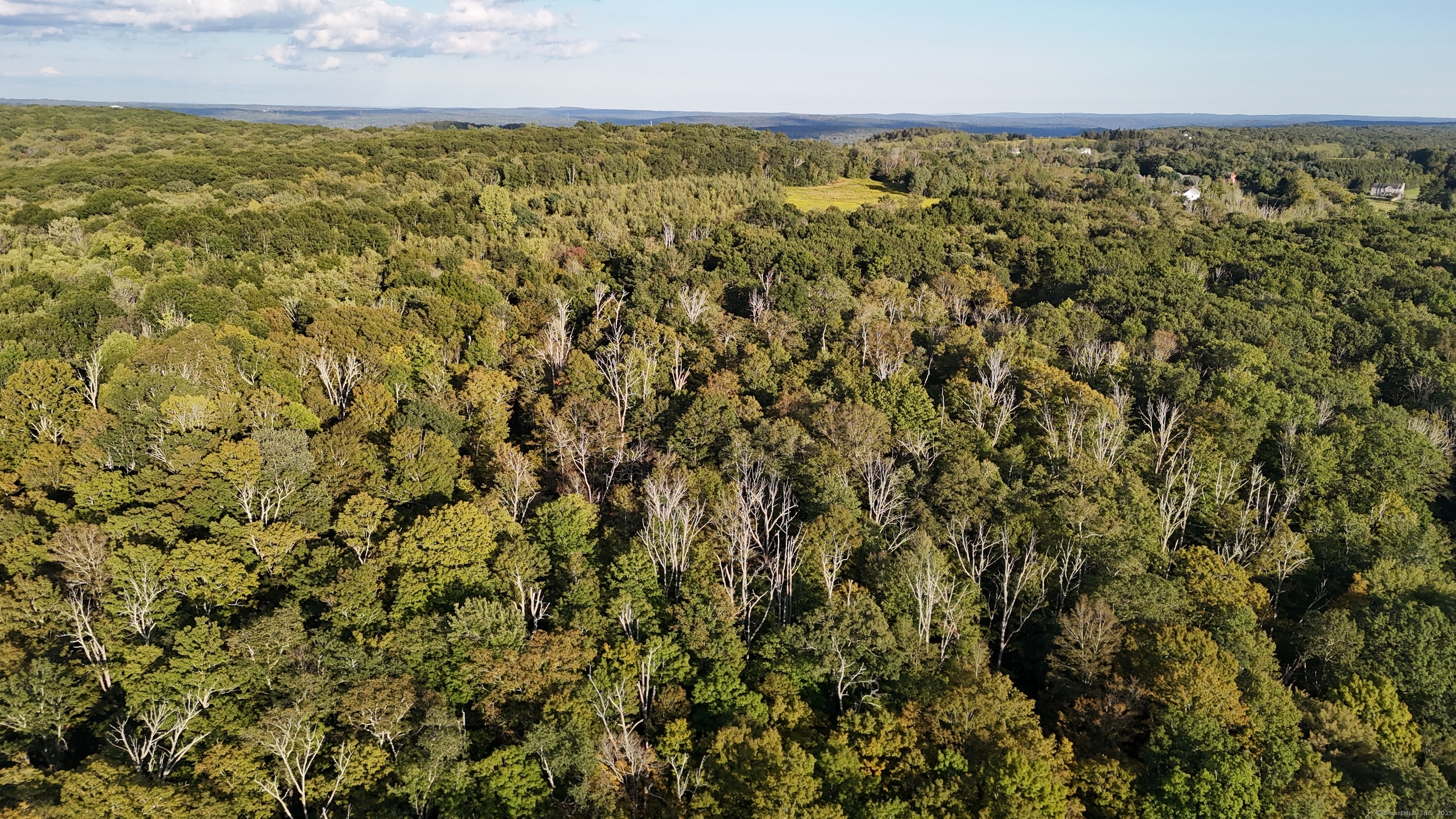 1739 Weed Road Torrington, CT 06790 - Photo 3 of 6