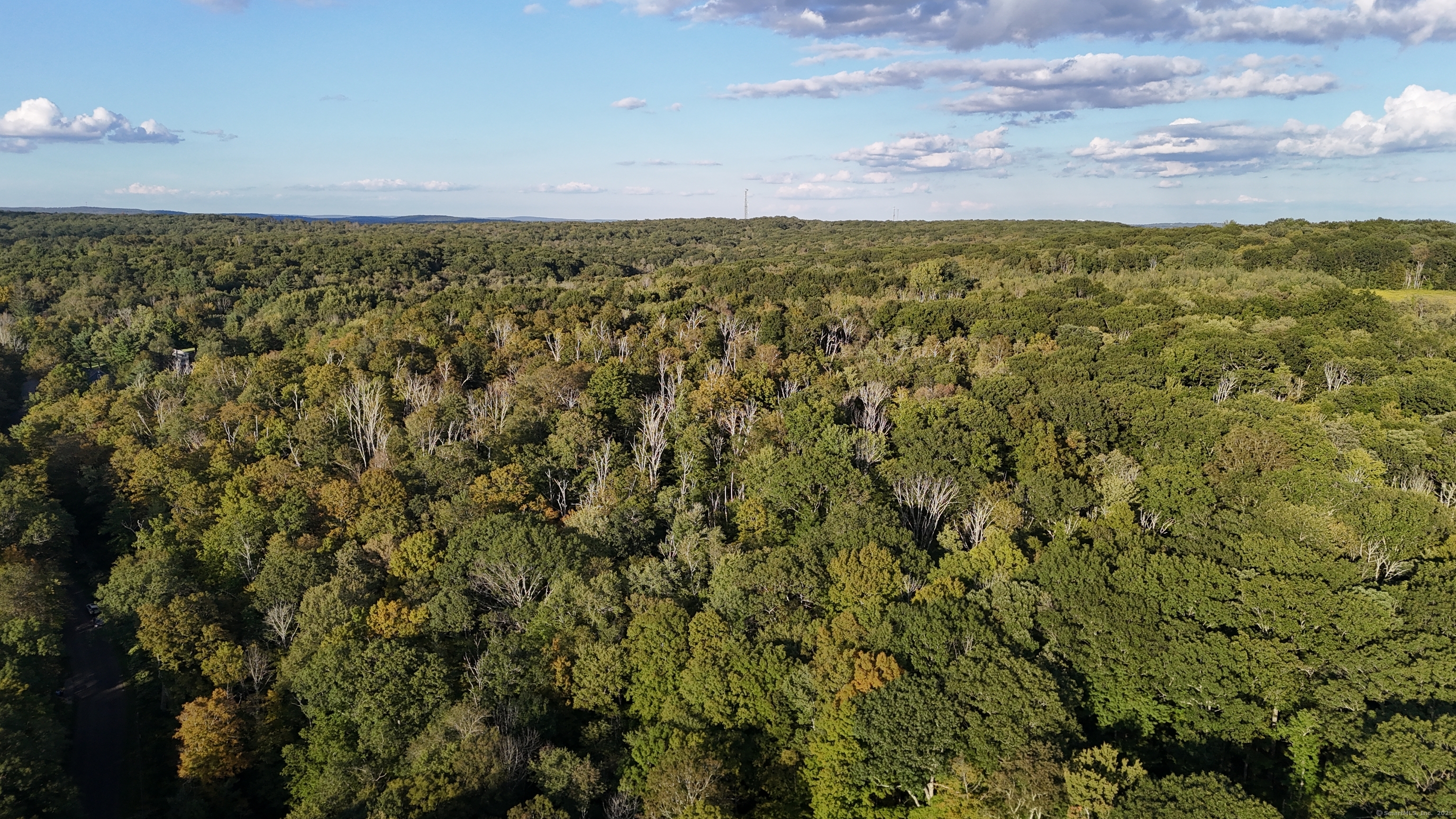 1739 Weed Road Torrington, CT 06790 - Photo 6 of 6