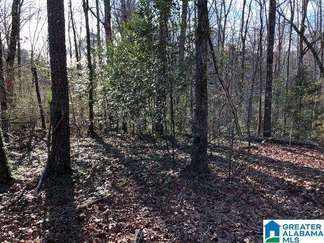 2854 Queenstown Road Trussville, AL 35173 - Photo 4 of 8