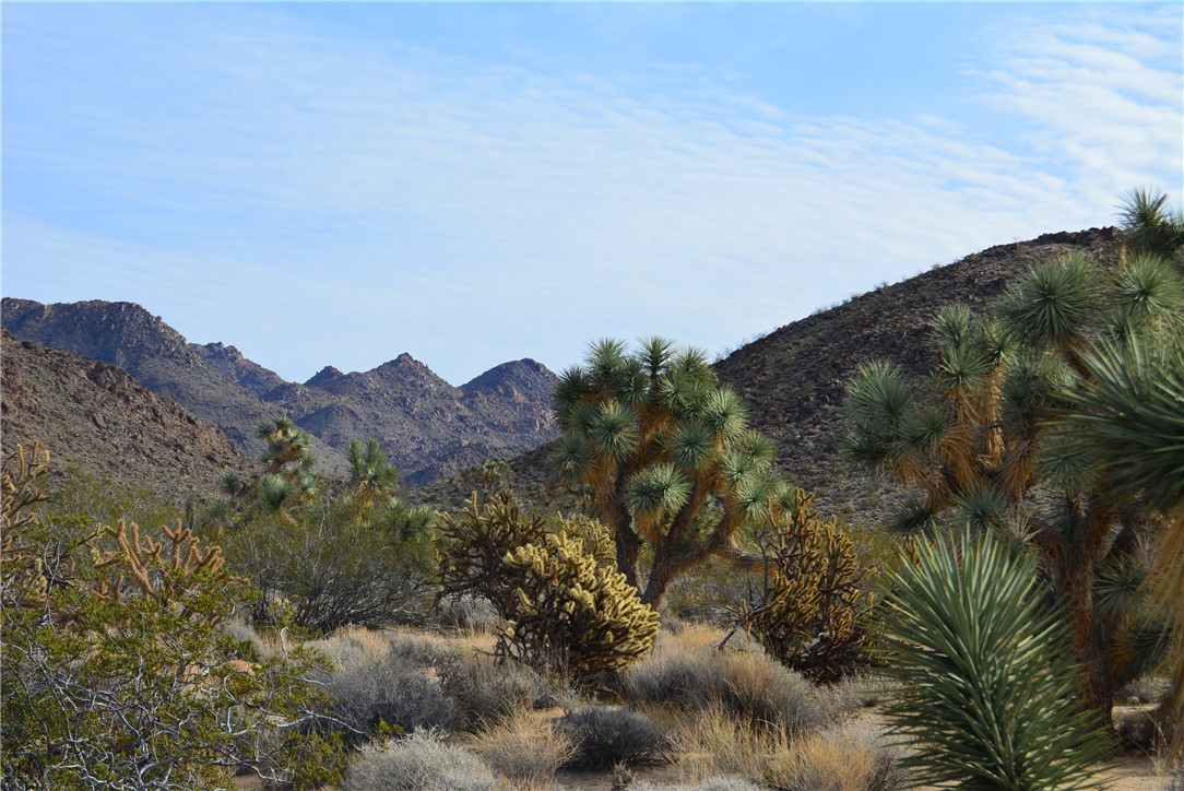 11869 South Central Road Yucca, AZ 86438 - Photo 1 of 92 View of mountain background