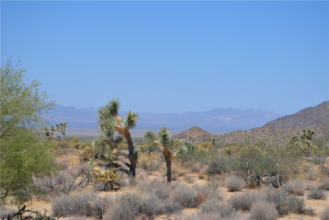 11869 South Central Road Yucca, AZ 86438 - Photo 16 of 92 a view of a dry yard with mountains in the background